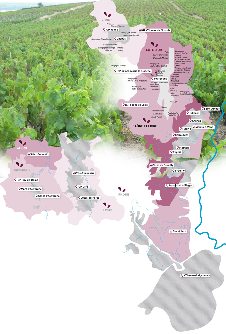 carte des appellations controlées par le CIBAS